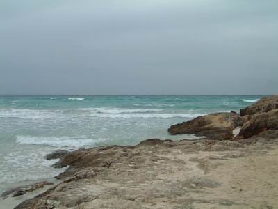 DSCF0059.JPG